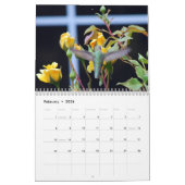 Backyard Hummingbird Calendar Kalender (Feb 2026)