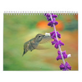 Backyard Hummingbird Calendar Kalender (Hoes)
