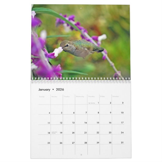 Backyard Hummingbird Calendar Kalender (Jan 2026)