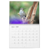 Backyard Hummingbird Calendar Kalender (Mar 2027)