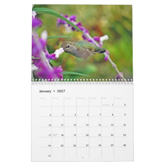 Backyard Hummingbird Calendar Kalender (Jan 2027)