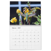 Backyard Hummingbird Calendar Kalender (Feb 2027)