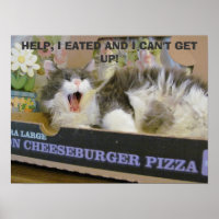 Bacon Cheeseburger Pizza Overdosering Kat