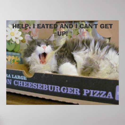 Bacon Cheeseburger Pizza Overdosering Kat Poster (Voorkant)