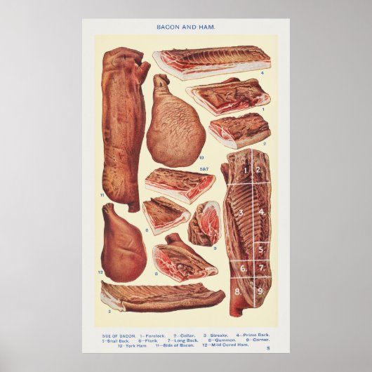 Bacon & Ham Poster (Voorkant)