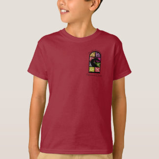 BACS kinder T-shirt met gekleurd glas