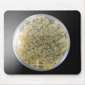 Bacteria Culture Bord Mousepad Muismat (Voorkant)