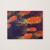 Bacteria Flagella Legpuzzel (Horizontaal)