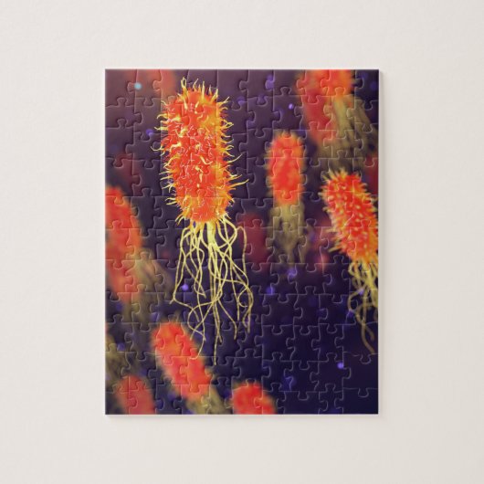 Bacteria Flagella Legpuzzel (Verticaal)
