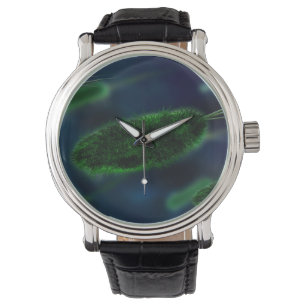 Bacteria Microbes Horloge