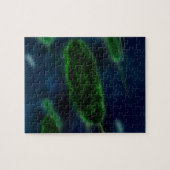 Bacteria Microbes Legpuzzel (Horizontaal)