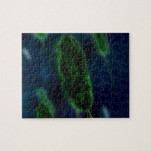 Bacteria Microbes Legpuzzel (Horizontaal)