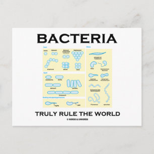 Bacteria regelt de wereld echt (morfologie) briefkaart