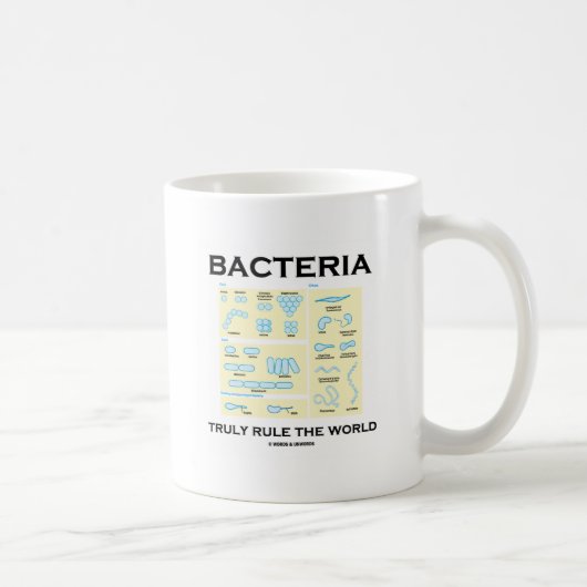 Bacteria regelt de wereld echt (morfologie) koffiemok (Rechts)