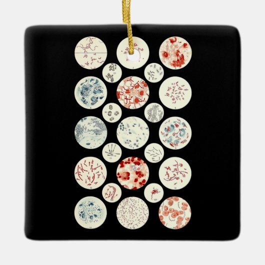 bacterie microbiologie microbiologie microbiologie keramisch ornament (Voorkant)