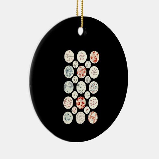 bacterie microbiologie microbiologie microbiologie keramisch ornament (Rechts)