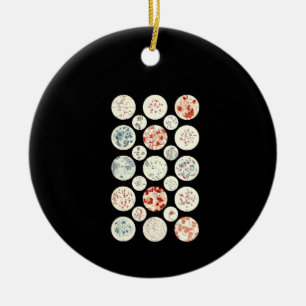 bacterie microbiologie microbiologie microbiologie keramisch ornament