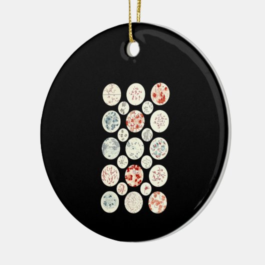 bacterie microbiologie microbiologie microbiologie keramisch ornament (Links)