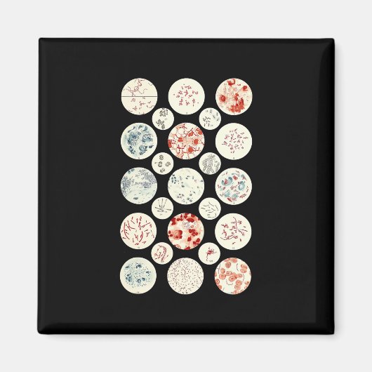 bacterie microbiologie microbiologie microbiologie magneet (Voorkant)