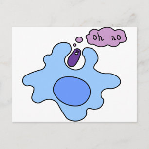 Bacterie Phagocytose Briefkaart