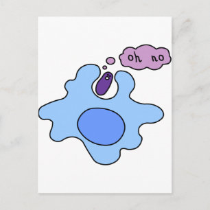 Bacterie Phagocytose Briefkaart