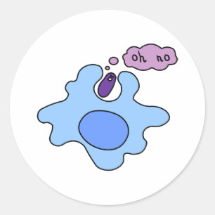 Bacterie Phagocytose Ronde Sticker