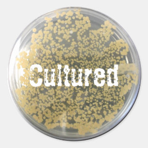 Bacteriecultuur Bord Sticker