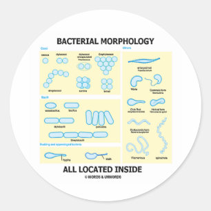 Bacteriële morfologie alle in de omgeving gelegen ronde sticker