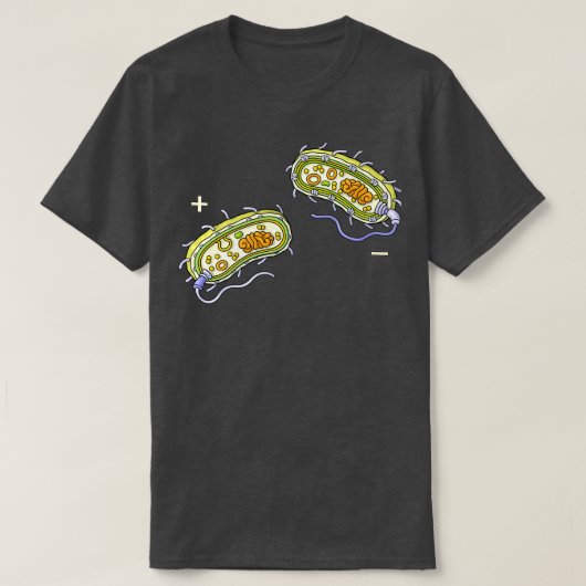 Bacteriën Interne structuur Gram Positief en Gram T-shirt (Design voorkant)