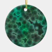 Bacteriën Keramisch Ornament (Voorkant)