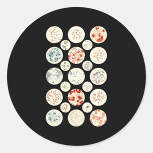 Bacteriën Microbiologie Bacterie Wetenschap Tiny M Ronde Sticker