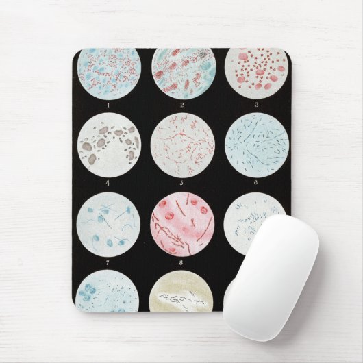 Bacteriën Muismat (Met muis)