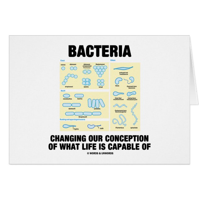 Bacteriën veranderen onze opvatting over het leven (Voorkant Horizontaal)