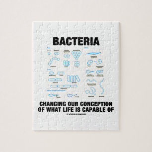 Bacteriën veranderen onze opvatting over het leven legpuzzel