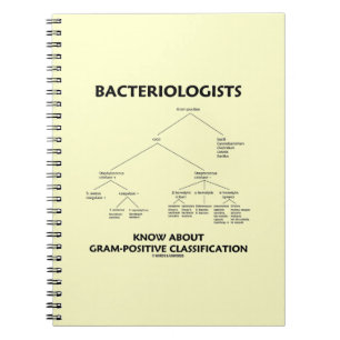 Bacteriologen kennen een positieve classificatie notitieboek