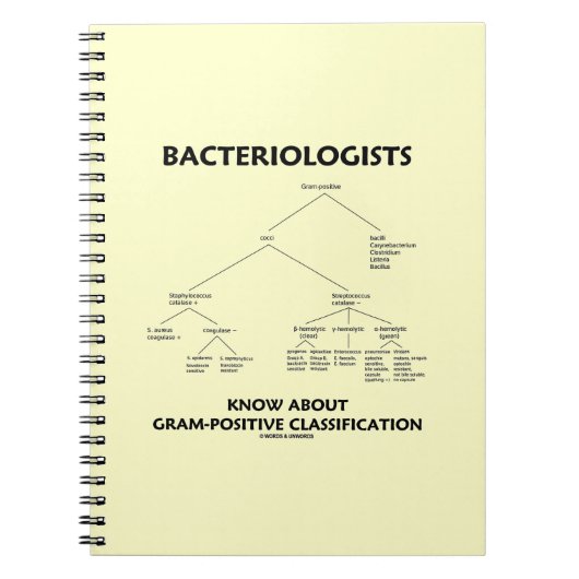 Bacteriologen kennen een positieve classificatie notitieboek (Voorkant)