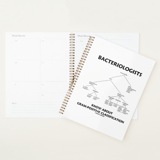 Bacteriologen kennen een positieve classificatie planner (Display)