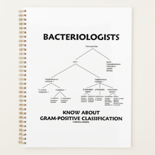 Bacteriologen kennen een positieve classificatie planner