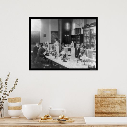 Bacteriology Lab bij Howard University 1900 Poster (Keuken)