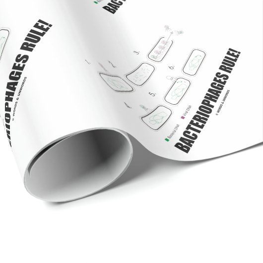 Bacteriophages Rule! (Bacteria-virus-DNA) Cadeaupapier (Rol Hoek)