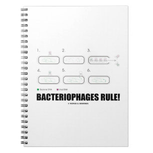 Bacteriophages Rule! (Bacteria-virus-DNA) Notitieboek