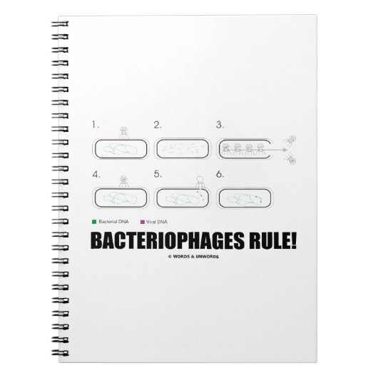 Bacteriophages Rule! (Bacteria-virus-DNA) Notitieboek (Voorkant)