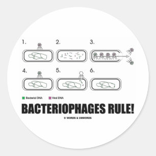 Bacteriophages Rule! (Bacteria-virus-DNA) Ronde Sticker