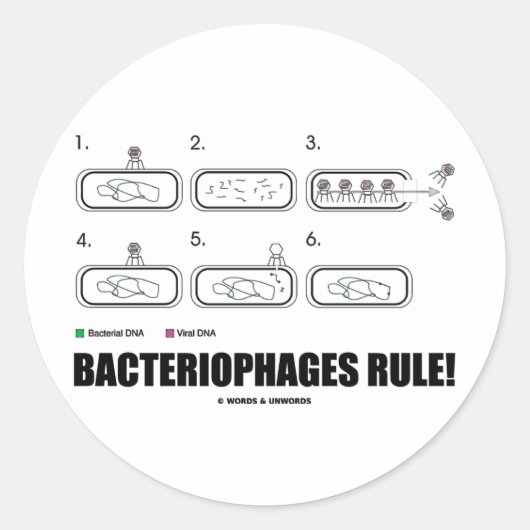 Bacteriophages Rule! (Bacteria-virus-DNA) Ronde Sticker (Voorkant)
