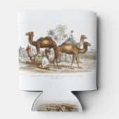 Bactriaans kameel, Arabisch kameel of dromedaille, Blikjeskoeler (Achterkant)