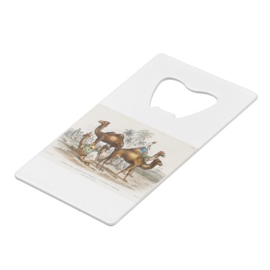 Bactriaans kameel, Arabisch kameel of dromedaille, Creditkaart Flessenopener (Voorkant Gekanteld)