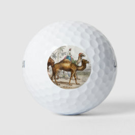 Bactriaans kameel, Arabisch kameel of dromedaille, Golfballen