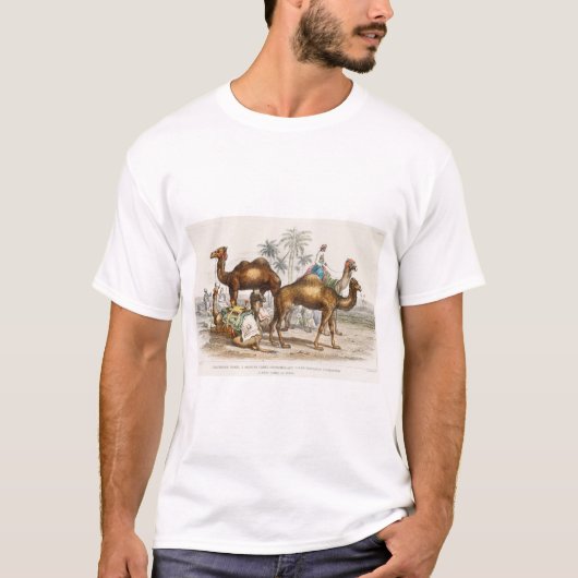 Bactriaans kameel, Arabisch kameel of dromedaille, T-shirt (Voorkant)