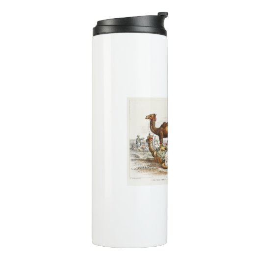 Bactriaans kameel, Arabisch kameel of dromedaille, Thermosbeker (Gedraaid links)