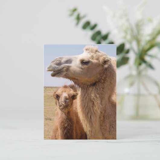 Bactrian Camel Portrait Briefkaart (Staand voorkant)